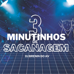3 MINUTINHOS DE SACANAGEM (((DJ BRENIN DO AV)))