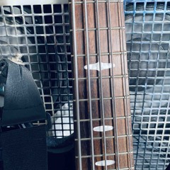 Stringed