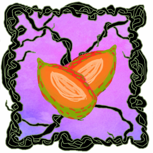 FRUITCAST #88 I [äis] I two mango maniacs mixing la mota