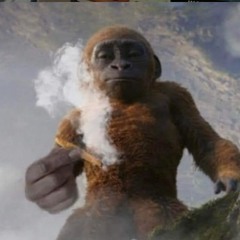 Pleasedontblowmyhi:(