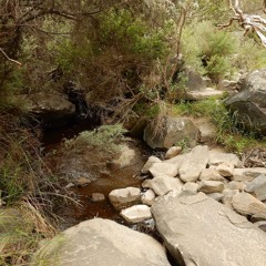 FKISM: Creek crossing downstream from Deep Creek Waterfall, Deep Creek National Park, January 2024