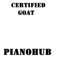 DJ SUCCESS [Pianohub] (Mon 08 Dec) 25