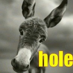 @SSHOLE.m4a w/ interlxde [BNYX]