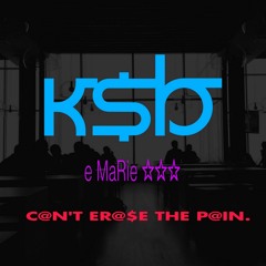 Can't Erase The Pain feat E MISS_TaKeN (e MaRie)