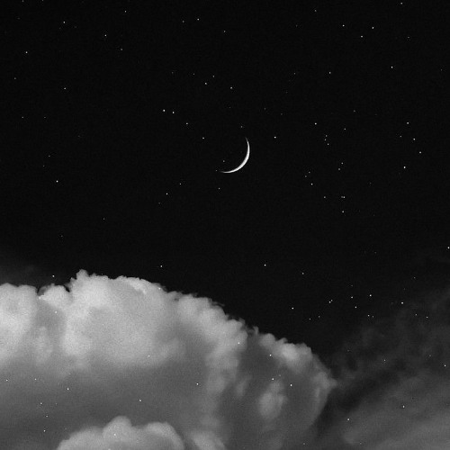 Ogryzek - KINGDOM (Super Slowed)