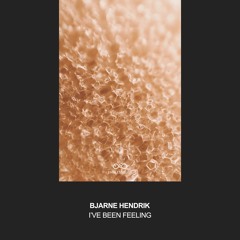 Bjarne Hendrik - I've Been Feeling
