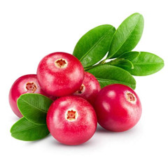 Cranberry