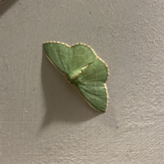 Sierra Ferrell- Goodnight Irene (Turner Farm)