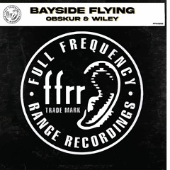 Bayside Flying - Obskür & Wiley