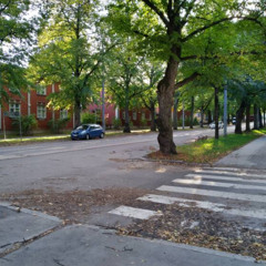 Gängi kadut (Feat Lil Penguin)