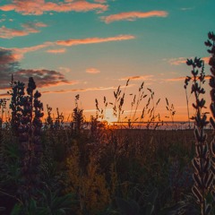 A Cricket Sang and Set the Sun - By Blake Tyson (Performed by Tom Hudson)
