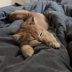 u cant compare to me (zigimo parker)