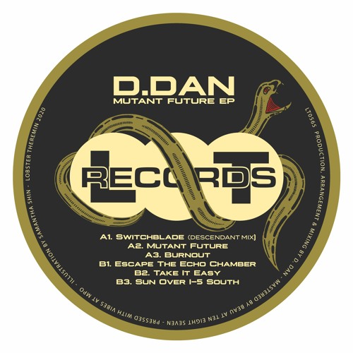 PREMIERE: D. Dan - Escape From The Echo Chamber