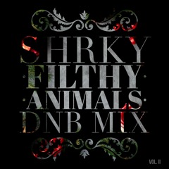 Filthy Animals DNB Mix Vol. II