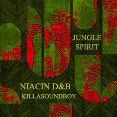 JUNGLE SPIRIT Feat Niacin D&B. - Niacin D&B Vs KillaSoundBoy