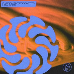 Embodiment 073 - Noah Lyas