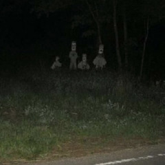 Scary Things That Hide In The Dark