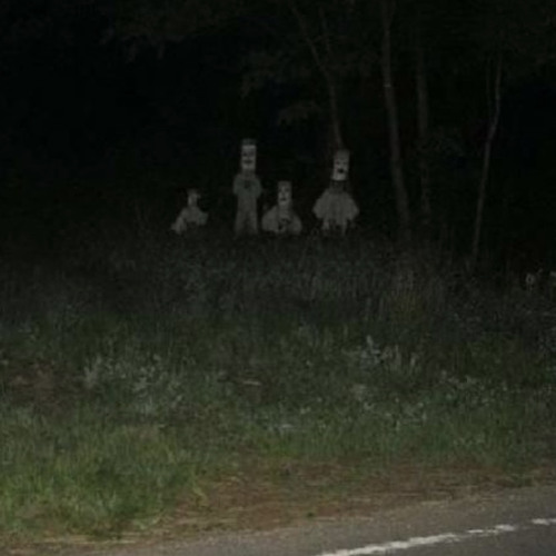 Scary Things That Hide In The Dark