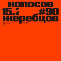 Peter Zherebtsov & Sergey Koposov - Deep Intelligent Sound 090 (15.02.23) 1 Hour