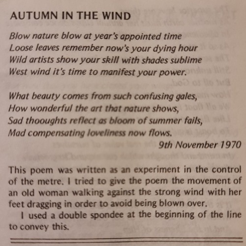 🧓🏻Autumn in the Wind