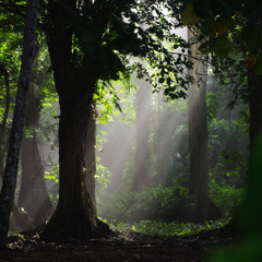 WAYPA - Fragments from Invitation festival 2025