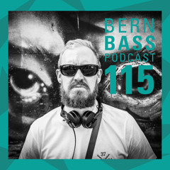 Bern Bass Podcast 115 - Oversight (October 2024)