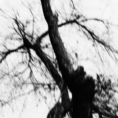 PREMIERE: Ort.z - Guardian Ape [FIGN49]