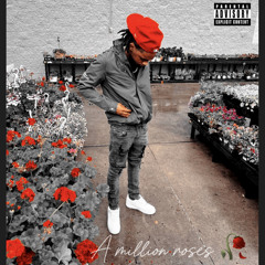 Bagtalkdr3 “A million roses” (official audio)