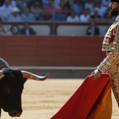 Bullfighter