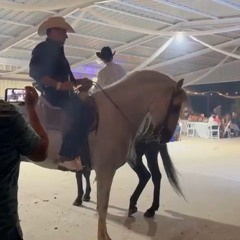 Corrido de juvenal barraza