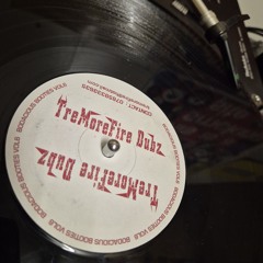 TreMoreFire Dubz - Beatfreaks - Somebodys Watchin Me