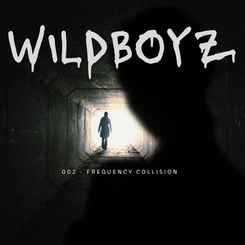 Wildboyz 002 - Frequency Collision