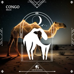 Brlee - Congo (Cafe De Anatolia)
