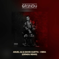 Anuel AA & David Guetta - Vibra (GR1NDU Remix) [Extended]