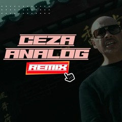 CEZA - Analog (KADUMI Remix)