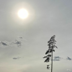 Ulf Bejerstrand - Waiting For The Thunder Ft. Peter Sundell