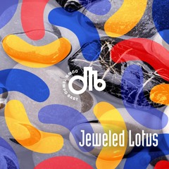 Jeweled Lotus / Electric Shaman / downtempo, baby! / # 10
