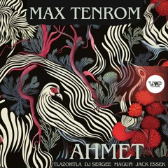 Max Tenrom - Ahmet ( Dj Sergee Remix ) 2024