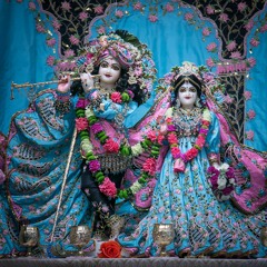 Radhadesh Mellows 2024 Day 3