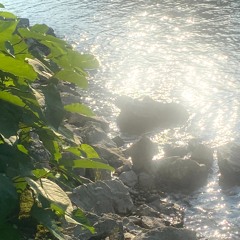 ~Petit Salon~16.08.24~