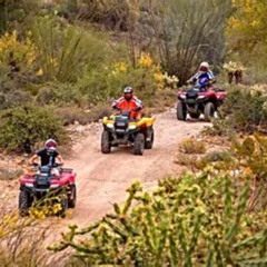 Review Special Price Guided Arizona Desert Tour By Atv - Centipede Tour