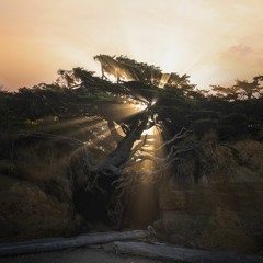 Spotlight