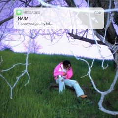 I HOPE YOU GOT MY TXT [p. wrongway! x andrzxz]