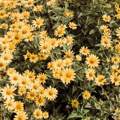 Sa Aking Puso (by Rachelle Ann Go) - Cover