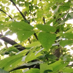 Manners & Tantrums p. JustBen Beats