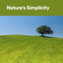 Climate