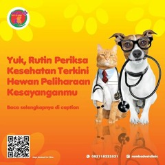0817-273-670 Operasi Pengangkatan Rahim Kucing Tangerang Selatan, Rambad Vet Clinic