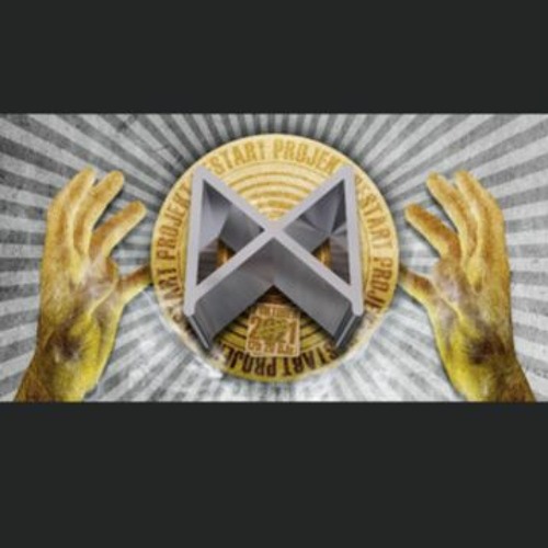 Mauerpfeiffer - Restart