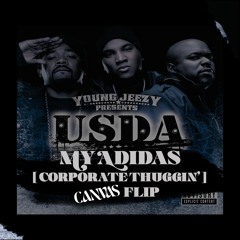 My Adidas (Corporate Thuggin CANVAS Flip) - U.S.D.A.