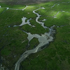 the riverbed [remaster]